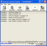 iNET Grabber screenshot